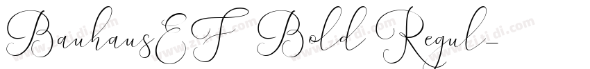 BauhausEF Bold Regul字体转换